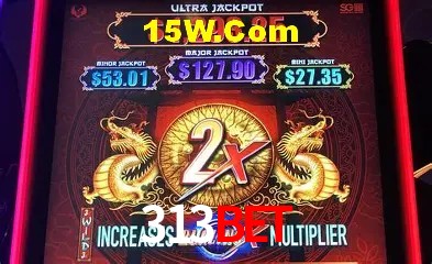 Recursos de Bônus 313Bet