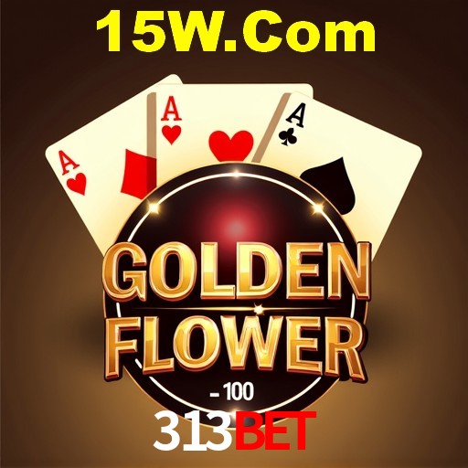 Experiência VIP 313Bet